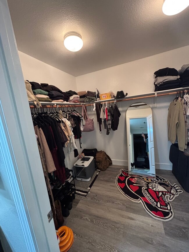 1230 Baylor Way in Dixon, CA - Building Photo - Building Photo