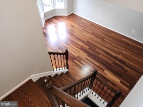 7903 Canter Ct in Severn, MD - Building Photo - Building Photo