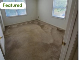 1351 Crab Orchard Dr in Raleigh, NC - Building Photo