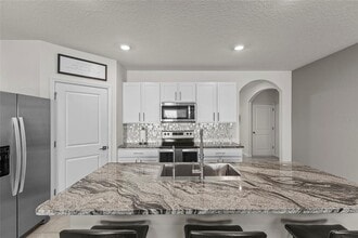 31455 Penny Surf Lp in Wesley Chapel, FL - Building Photo - Building Photo