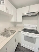 335 Detroit St in Windsor, ON - Foto de edificio - Building Photo