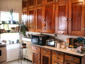 111 N Lynn St, Unit #1 in Urbana, IL - Building Photo