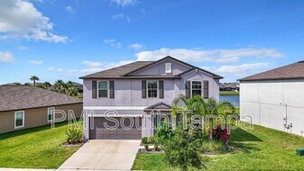 11116 Sage Canyon Dr. in Riverview, FL - Building Photo