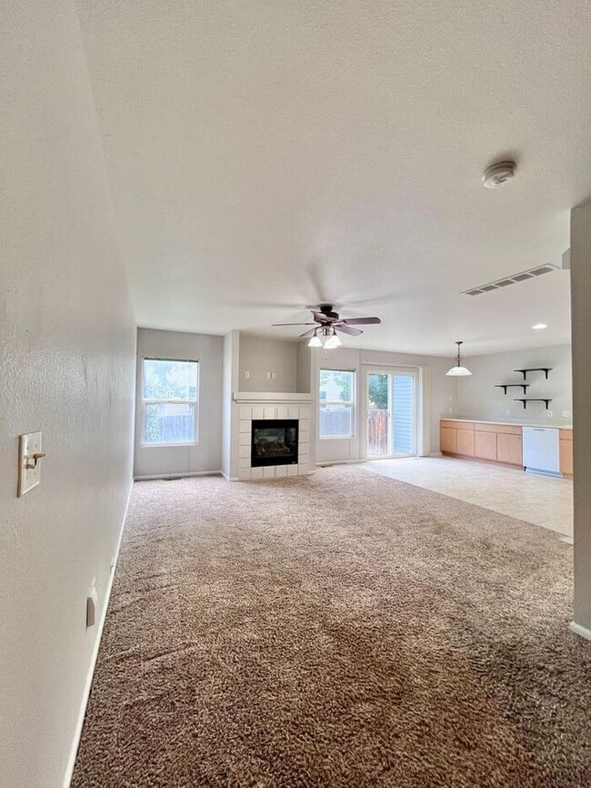 1728 Elk Springs St in Loveland, CO - Foto de edificio - Building Photo