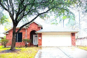 12719 Great Sands Dr in Humble, TX - Building Photo