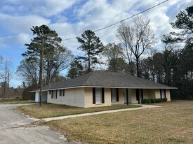13085 Friendship Rd in Walker, LA - Building Photo