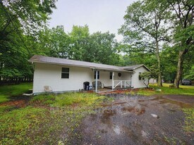 407 Mountain Rd in Albrightsville, PA - Building Photo