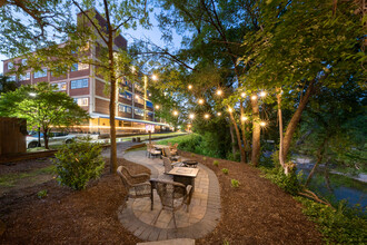 The River House in Roanoke, VA - Building Photo - Building Photo