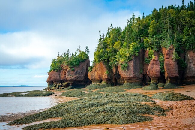 Apartments for rent in Dieppe, NB