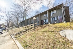 115 Beechnut St in Johnson City, TN - Building Photo