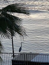 1611 AZ-95 in Bullhead City, AZ - Building Photo - Building Photo