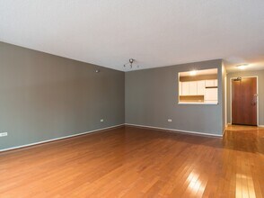 480 N McClurg Ct in Chicago, IL - Building Photo - Building Photo