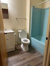 210 S Eaton St in Albion, MI - Building Photo - Building Photo