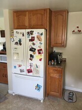 3117 Alberta St in Munhall, PA - Building Photo - Building Photo