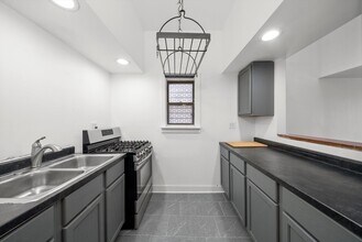 903 W 19th St in Chicago, IL - Building Photo - Building Photo