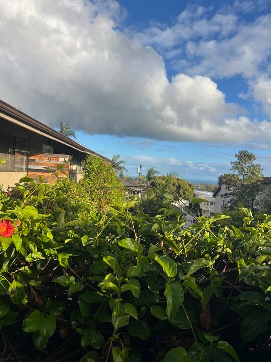 521 E Arrellaga St, Unit 11 in Santa Barbara, CA - Building Photo