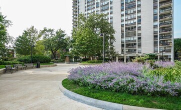 1455 N Sandburg Ter in Chicago, IL - Building Photo - Building Photo