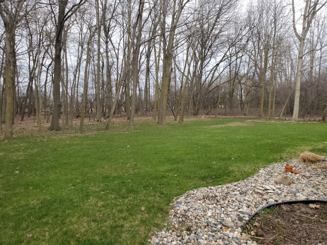 1126 Harrington Ln in East Lansing, MI - Foto de edificio - Building Photo