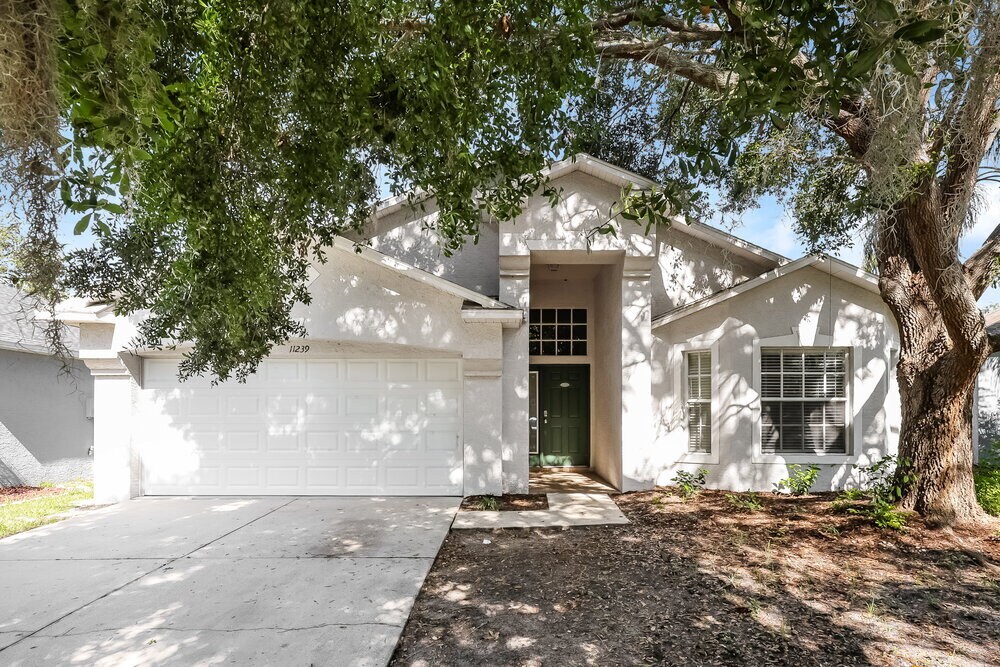 11239 Lake Lanier Dr in Riverview, FL - Building Photo