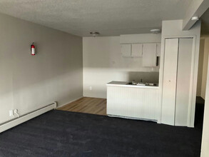 24235 W McNichols Rd in Detroit, MI - Building Photo - Building Photo