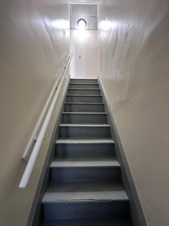 153 Vine St in Plymouth, PA - Building Photo