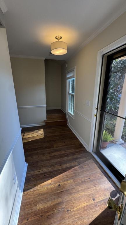 1024 Plantation Ct in Mount Pleasant, SC - Building Photo - Building Photo