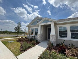 6218 Wandering Willow Dr in Wesley Chapel, FL - Building Photo