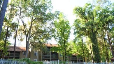 Treehouse Village in Gainesville, FL - Foto de edificio - Building Photo