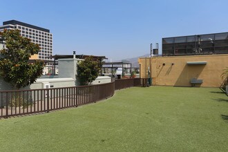 Eleve in Glendale, CA - Foto de edificio - Building Photo