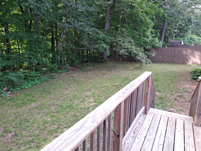 6123 Cougar Dr in Knoxville, TN - Building Photo - Building Photo
