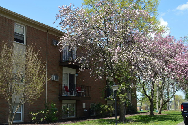 Woodgate North in Ravenna, OH - Foto de edificio - Building Photo