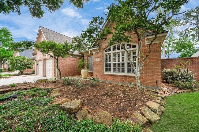 19 Wild Meadow Ct in Spring, TX - Foto de edificio - Building Photo