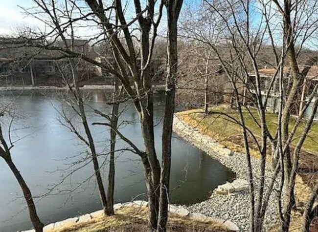 6018 E Lake Dr in Lisle, IL - Building Photo - Building Photo
