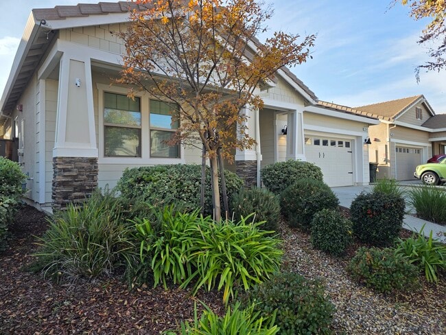 1994 Newark Way in Lincoln, CA - Building Photo - Building Photo