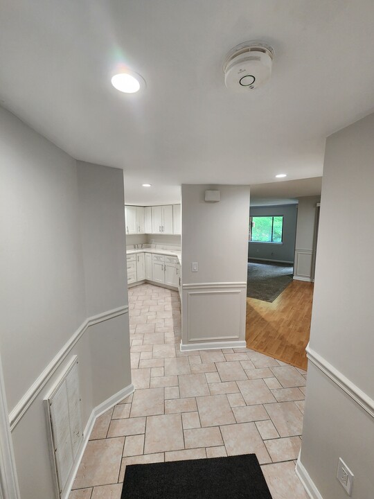 213 Trailside Way in Ashland, MA - Building Photo