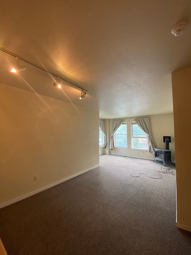 525 Red Lady Ave in Crested Butte, CO - Building Photo - Building Photo