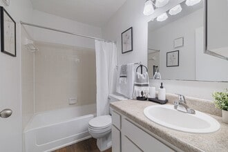 Cross Creek in Plano, TX - Foto de edificio - Building Photo