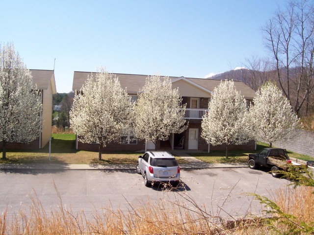 119 Boone Ridge Dr in Burnsville, NC - Foto de edificio