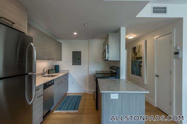 40 Malvern St, Unit 205 in Boston, MA - Building Photo - Building Photo