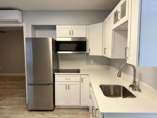 property at 205 Coconut Palm Way