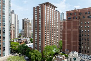 Ambassador House Condos in Chicago, IL - Building Photo