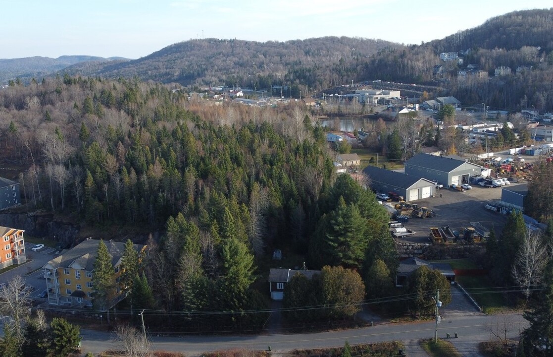 651 De La Rivière Ch in Ste-Agathe-des-Monts, QC - Building Photo