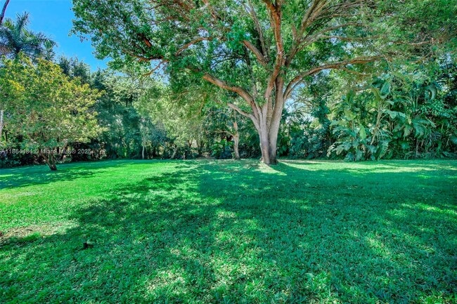 property at 100 N Hibiscus Ct