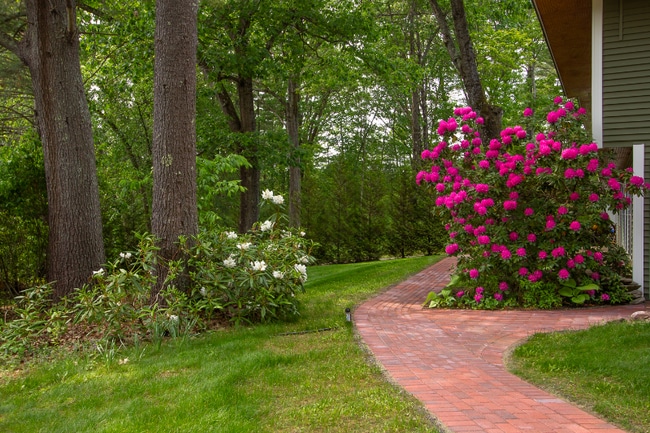 4 Jessica Ln in Hudson, NH - Foto de edificio - Building Photo