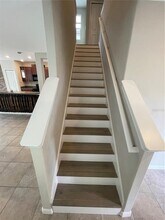 4004 Cat Mint St in Tampa, FL - Building Photo - Building Photo