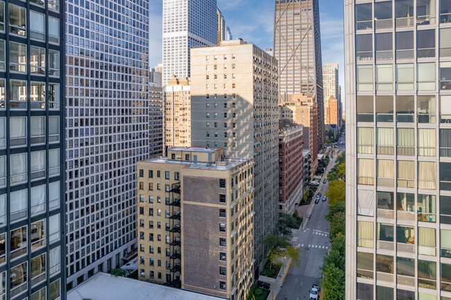 253 E Delaware Pl in Chicago, IL - Foto de edificio - Building Photo