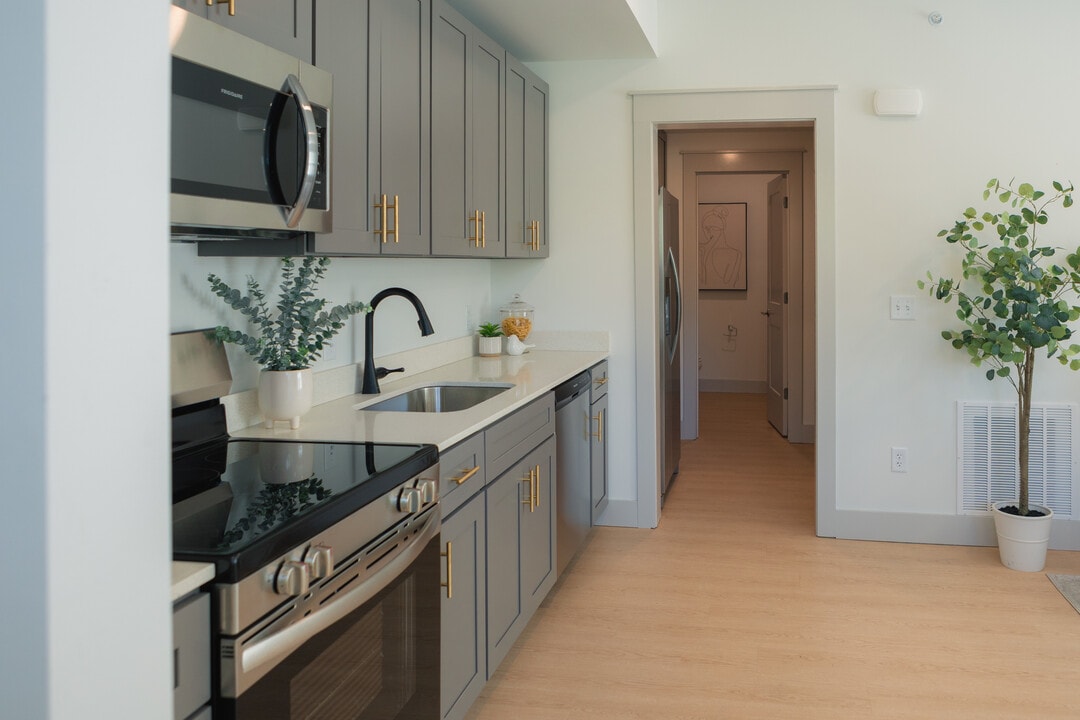 The Fitzgerald in Springdale, AR - Building Photo