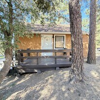 25065 Laurel Trail in Idyllwild, CA - Building Photo