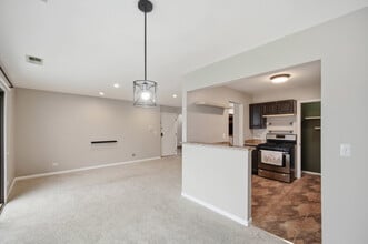 1502-1507 7 Pines Rd in Schaumburg, IL - Building Photo - Building Photo