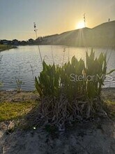 5687 Archipelago St in Nokomis, FL - Building Photo - Building Photo